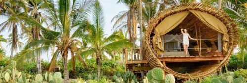 PlayaViva-in-Mexico