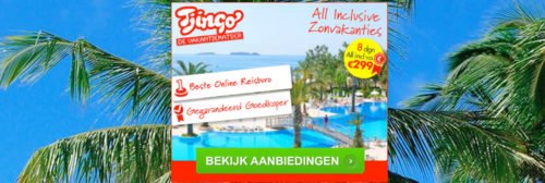 Tjingo-reisorganisatie