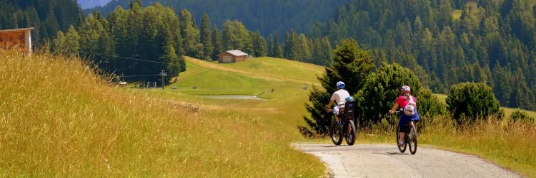 Bergfietsen op zonnige dag in groene vallei