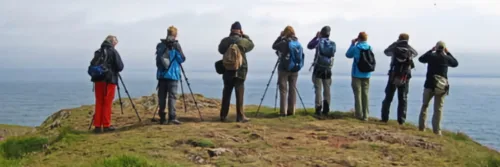 Groep fotografen kijkt naar zee vanaf klif.